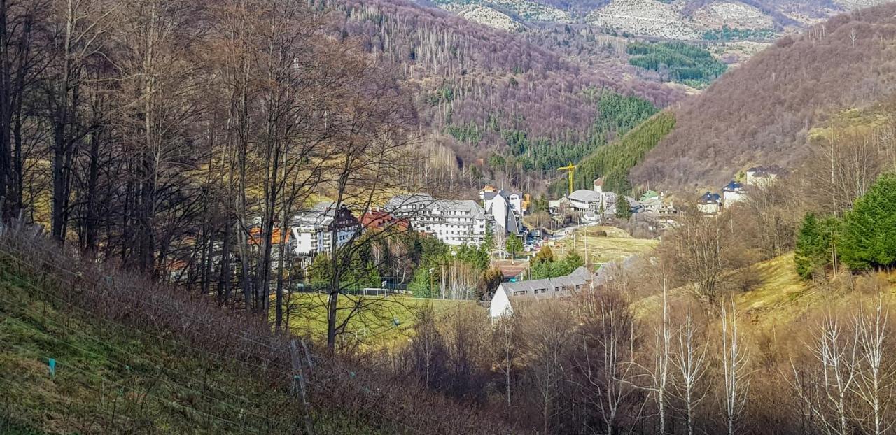 Apartman Cvejic - Suncani Apartmani Brzeće Eksteriør bilde